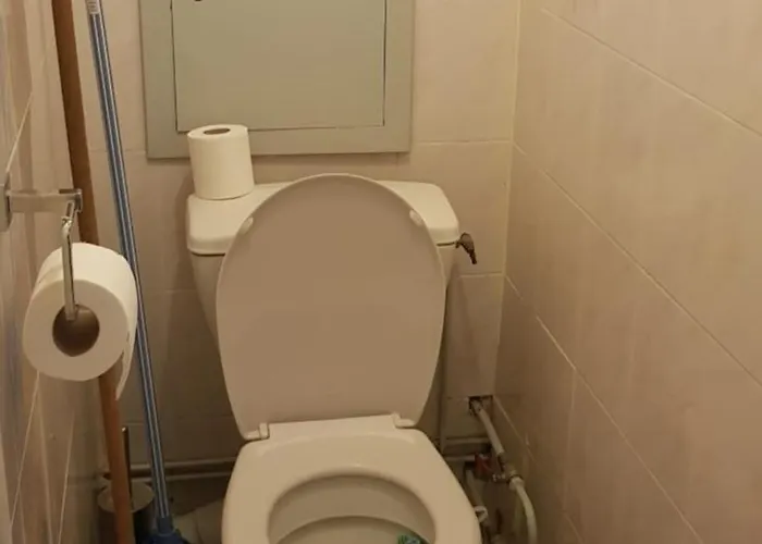 Appartement Chaleureux